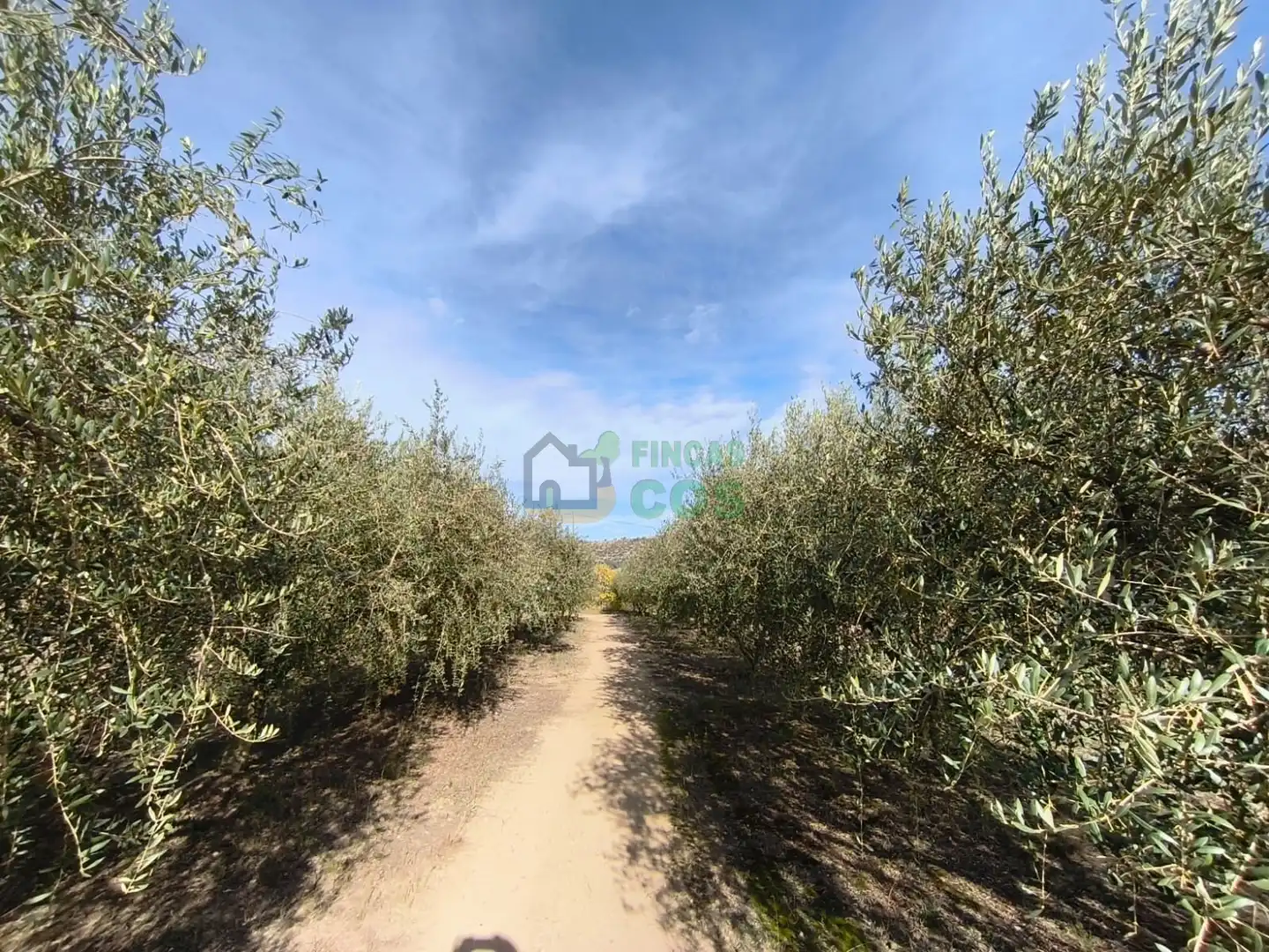 Casa o chalet en venta en Castellgalí con Calefacción, Jardín privado y Terraza