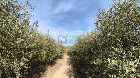 Foto 4 de Casa o chalet en venta en Urbanitzacio Mas Planoy 3, Castellgalí, Barcelona