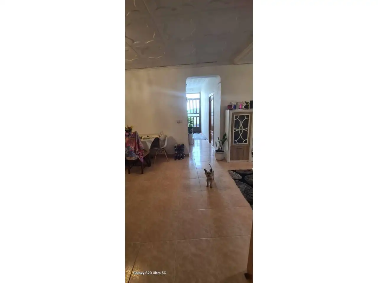 Casa o xalet en venda a Calle Vistabella, Ciutat del Transport - La Salera
