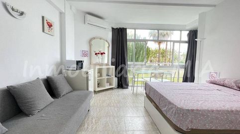 Foto 5 de Estudi de lloguer a La Carihuela - Los Nidos, Torremolinos
