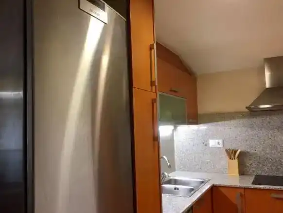 Küche von Wohnung zur Miete in Aisa mit Parkett, Abstellraum und Möbliert