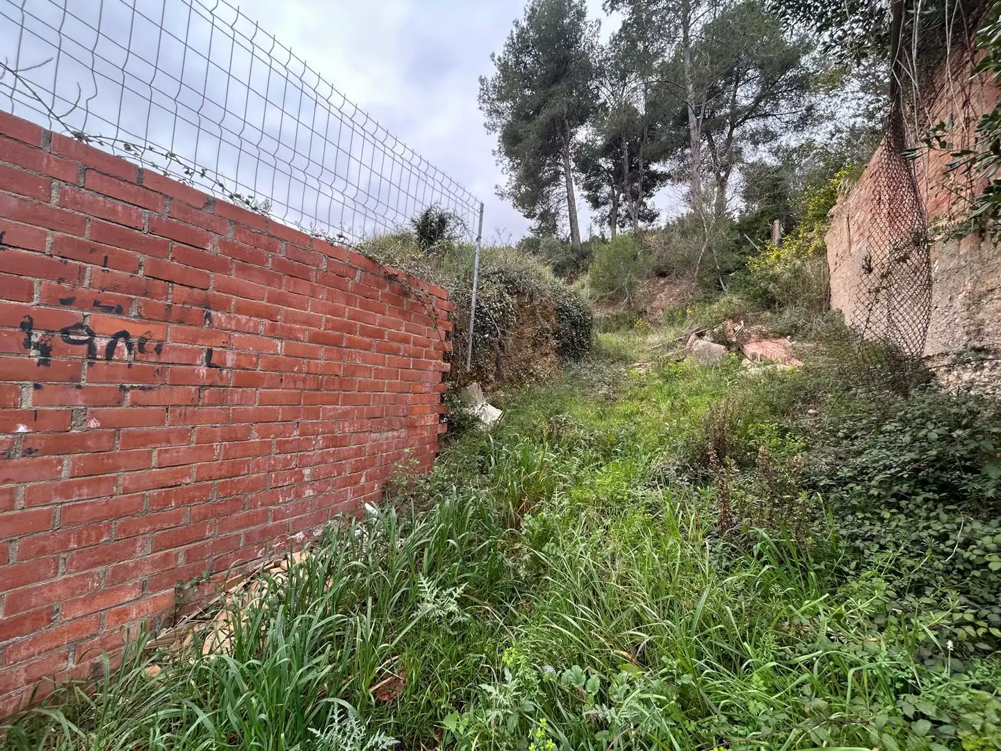 Terreno rustico in vendita a Piera, imagen 5
