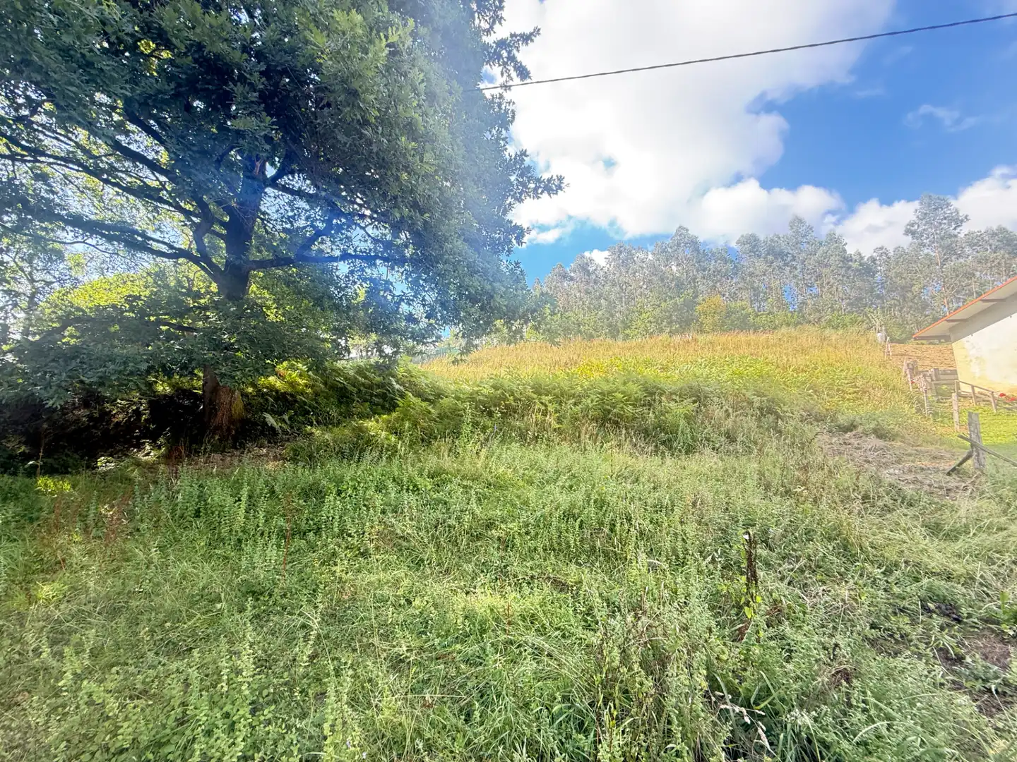 Finca rústica en venda en Loiu amb Jardí privat