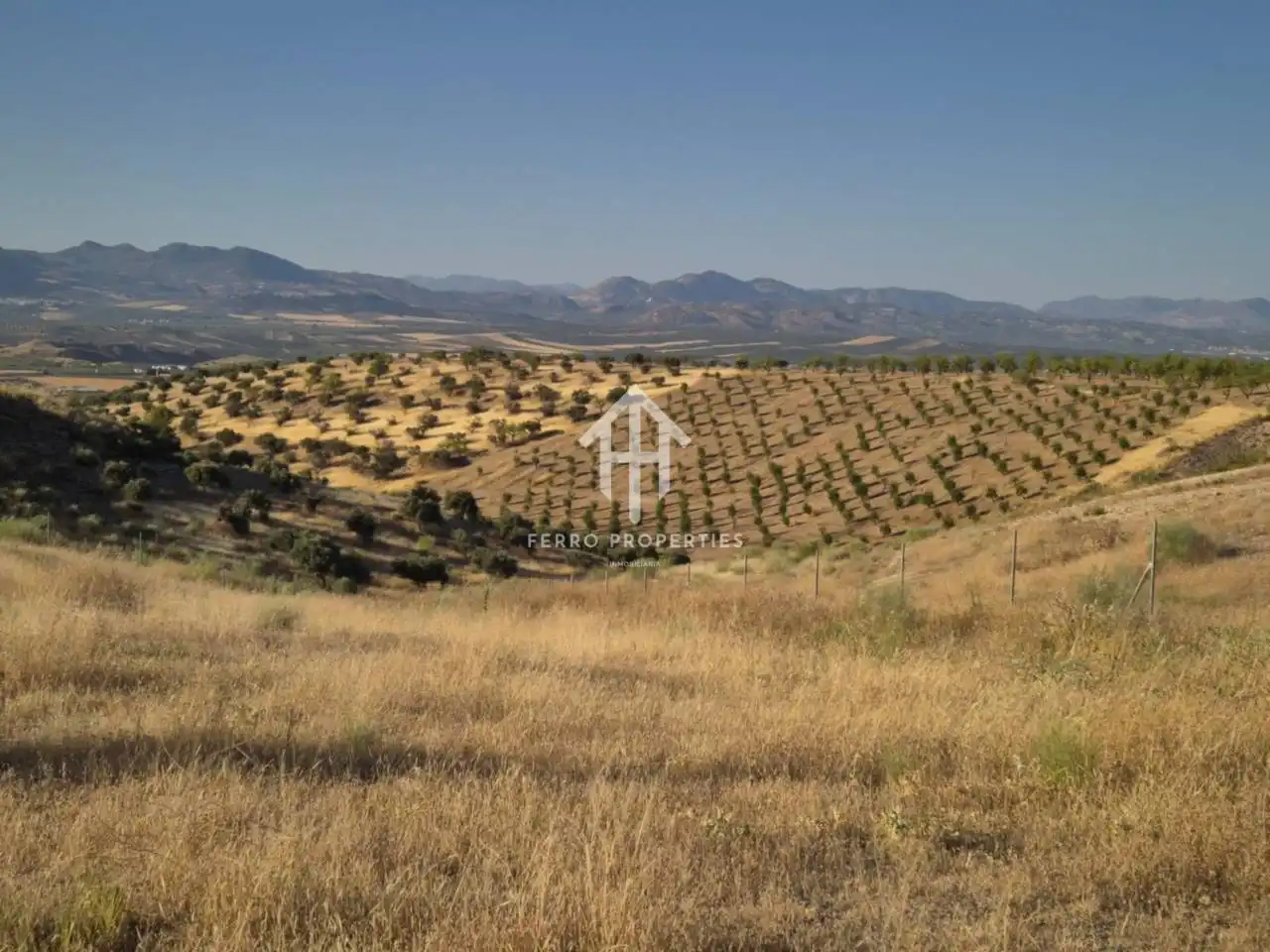 Rural land for sale in Moraleda de Zafayona, imagen 10