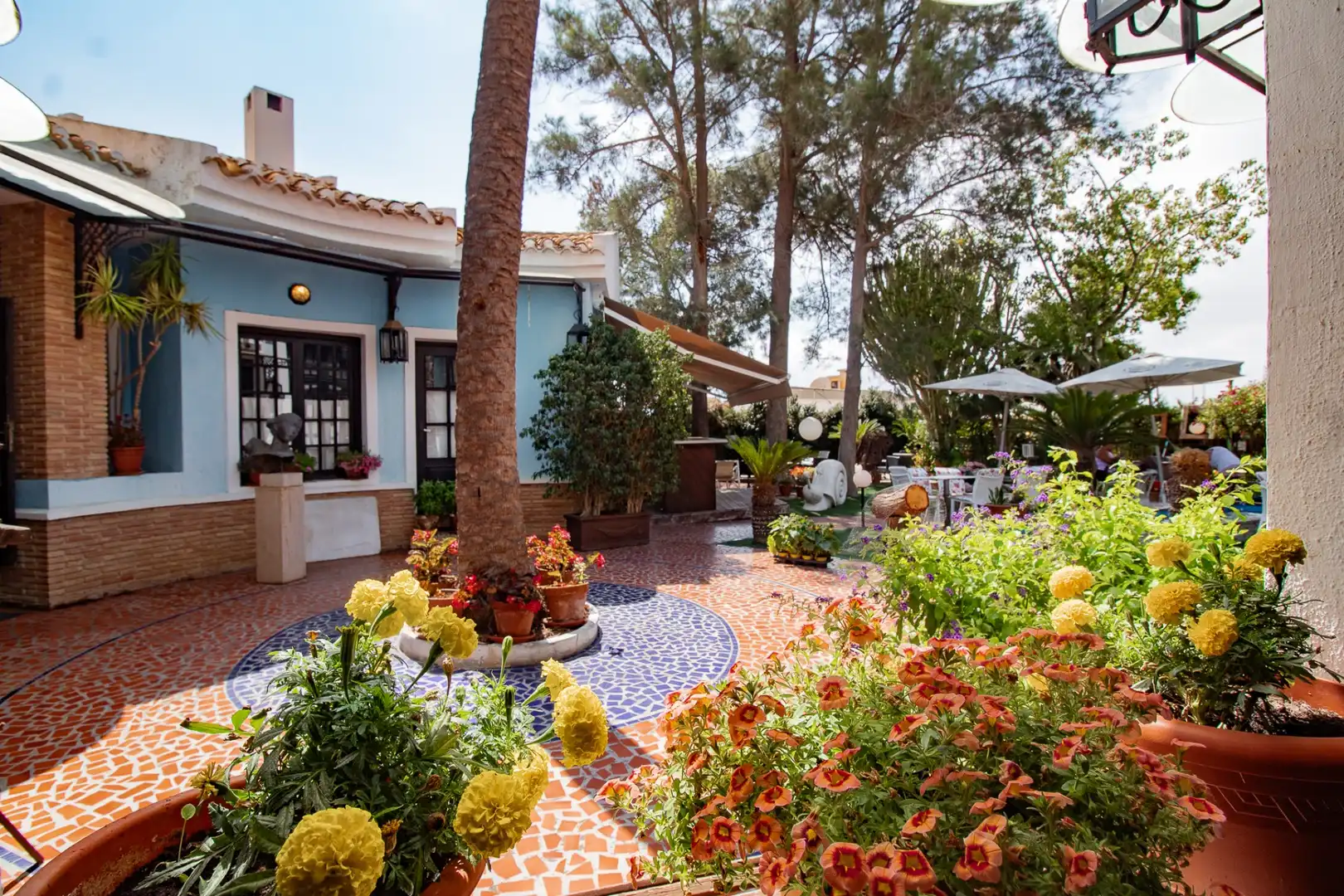 Terrassa de Local en venda en Orihuela amb Aire condicionat