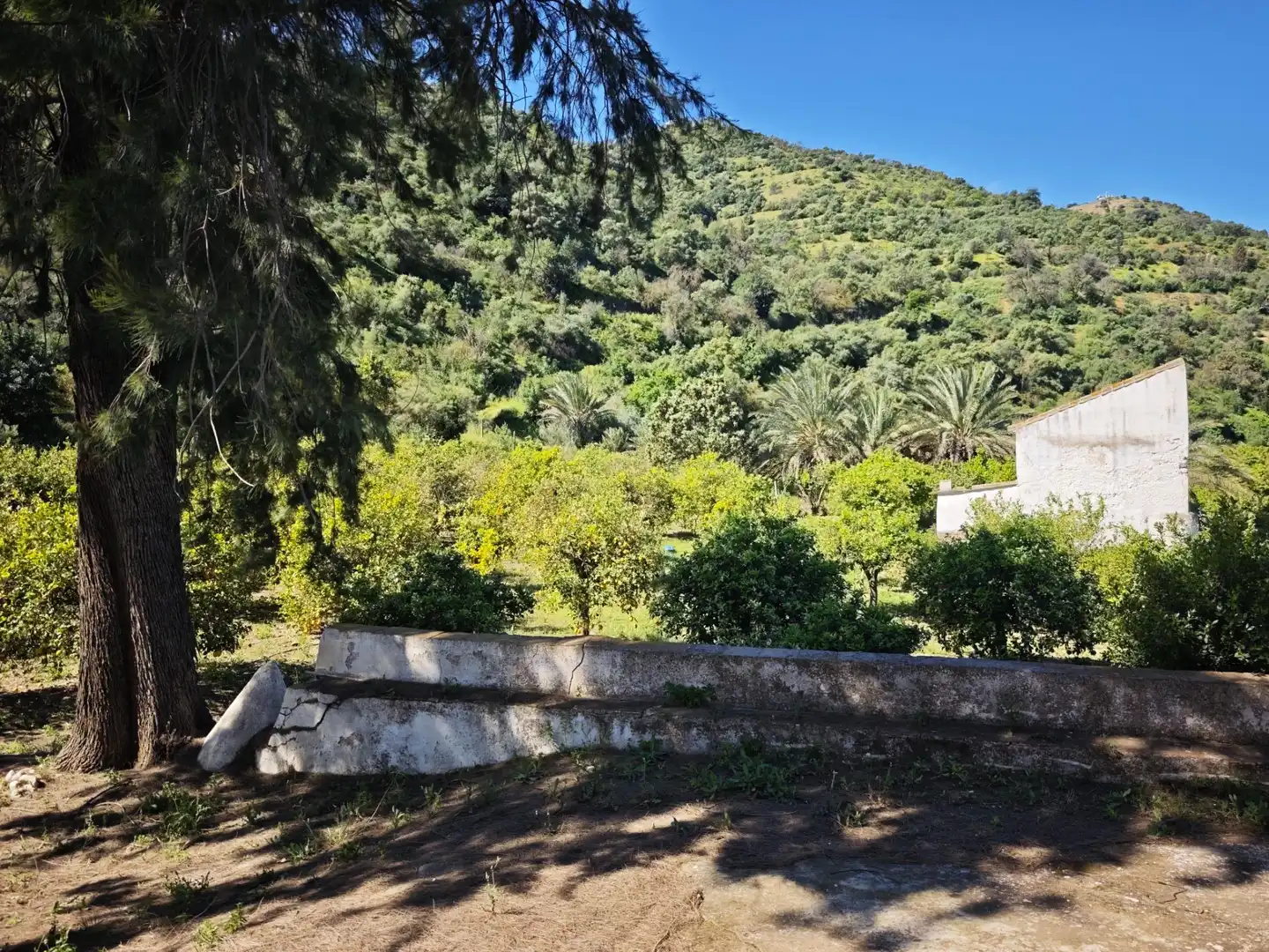Finca rústica en venda en Cártama