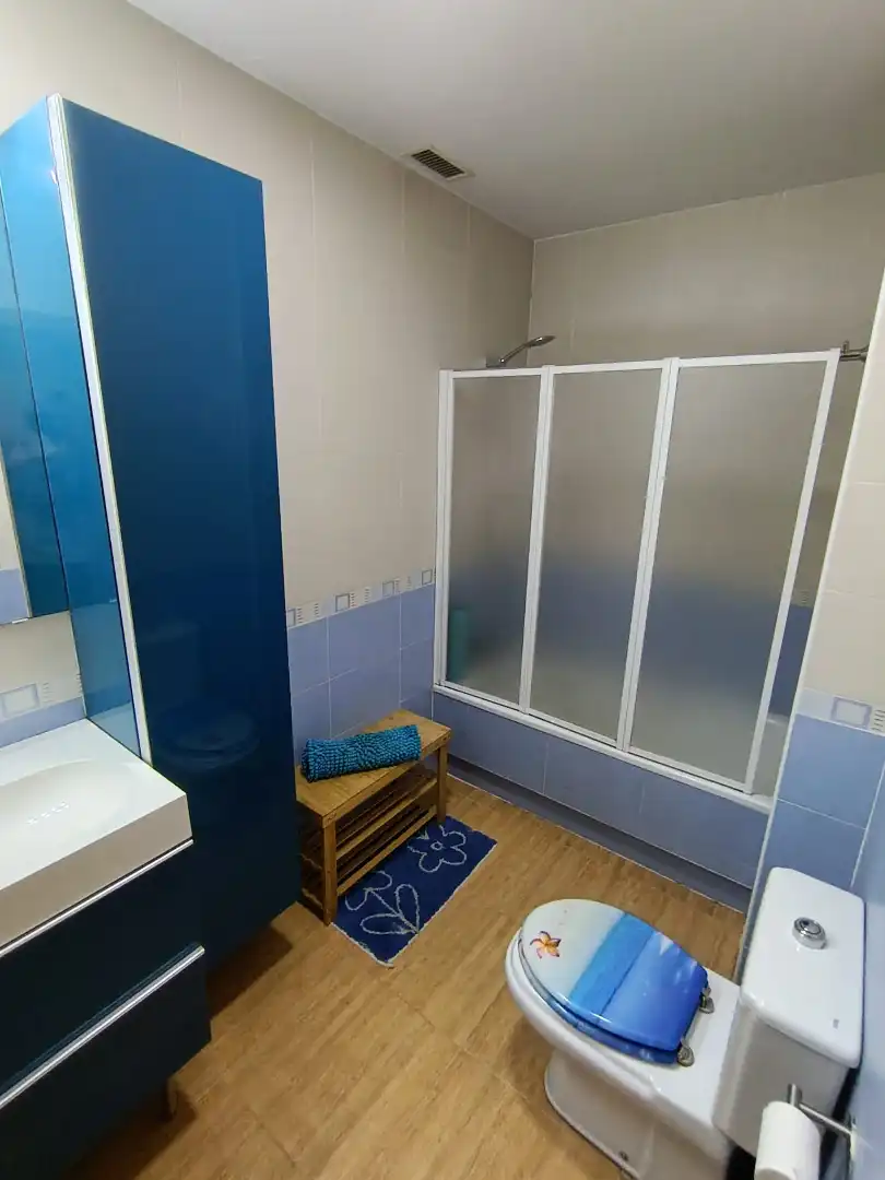 Appartamento in affitto a Avenida Doctor Gerardo Molina, imagen 18