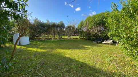 Photo 5 of House or chalet for sale in Sa Pobla, Illes Balears