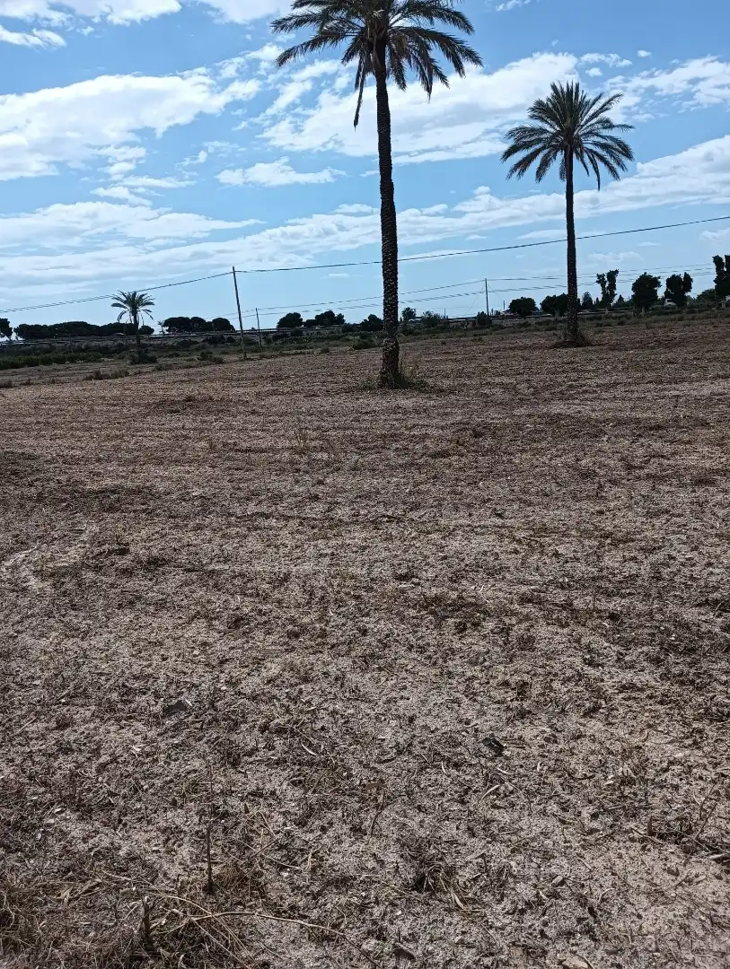 Terreno en venta en Elche / Elx