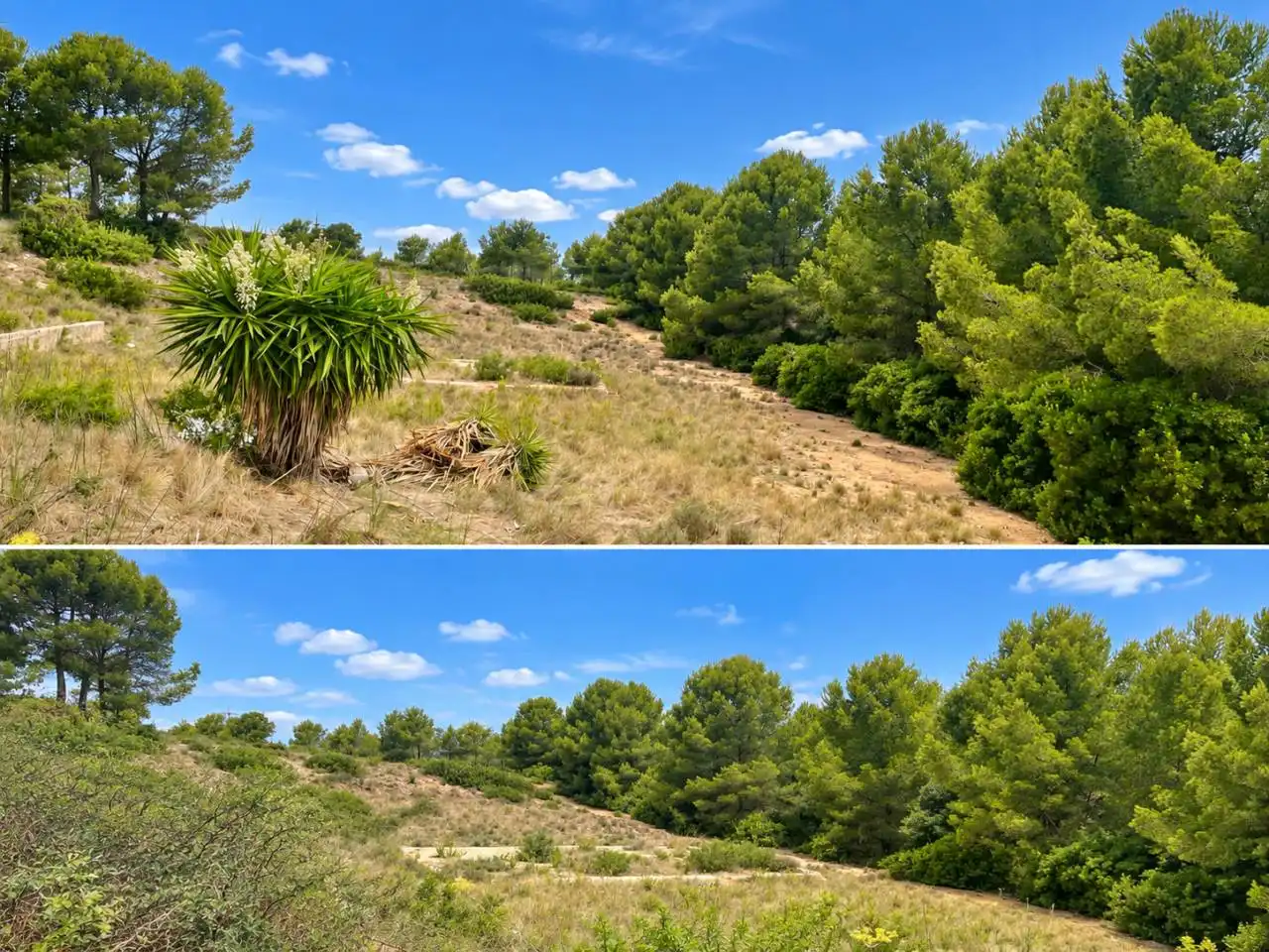 Wohnbaugrundstück zum Verkauf in Pla de Maset - Cap de Salou, imagen 2