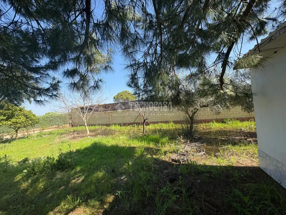 Terreno en venta en Táliga