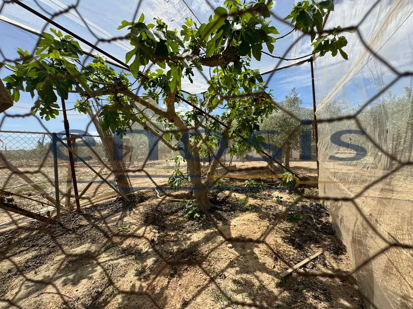 Finca rústica en venda en Torre-Pacheco amb Aire condicionat