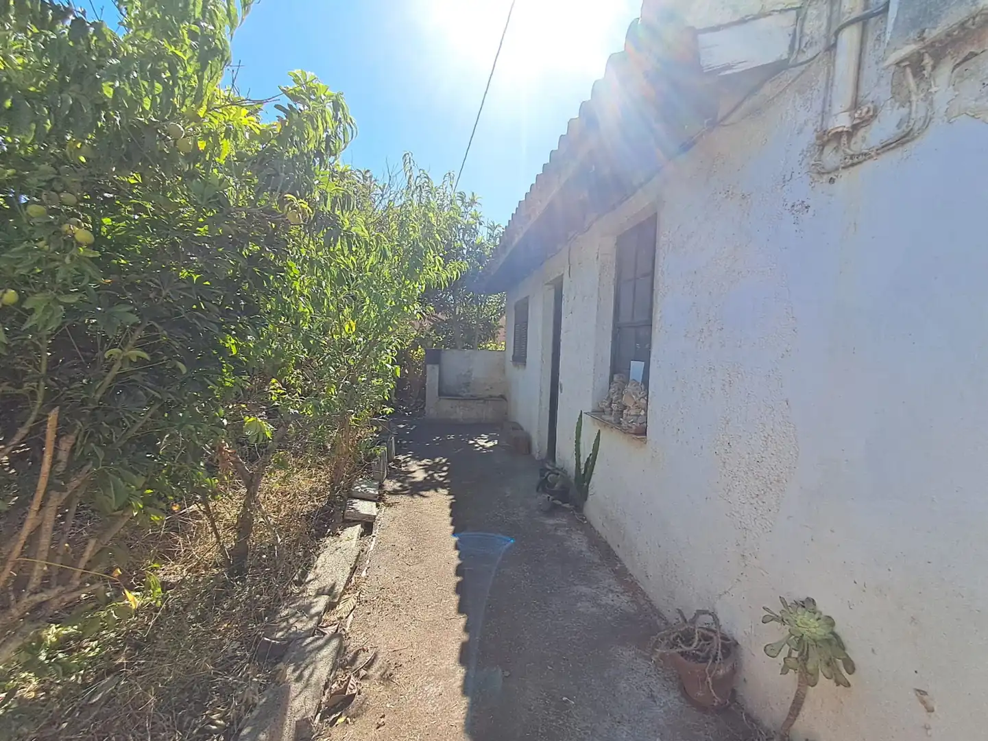 Vista exterior de Casa o xalet en venda en San Cristóbal de la Laguna amb Jardí privat