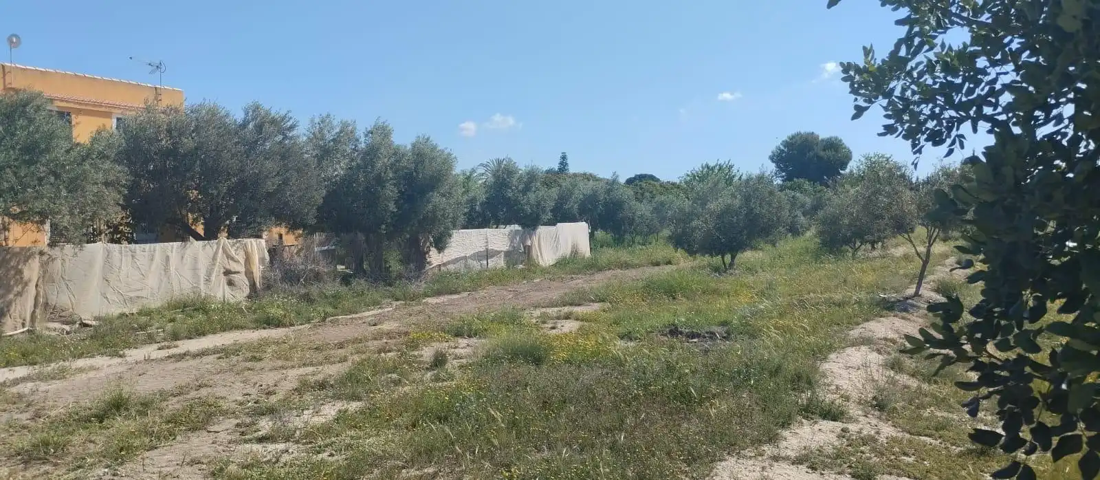 Terreno rustico in vendita a La Huerta, imagen 39