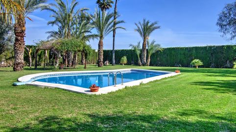 Foto 2 de Finca rústica en venta en Av. 8 de Marzo, Dolores, Alicante