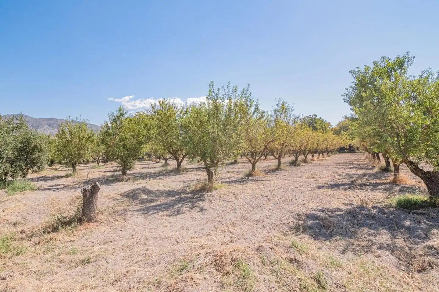 Country house for sale in Calle de Rocio Durcal, imagen 38