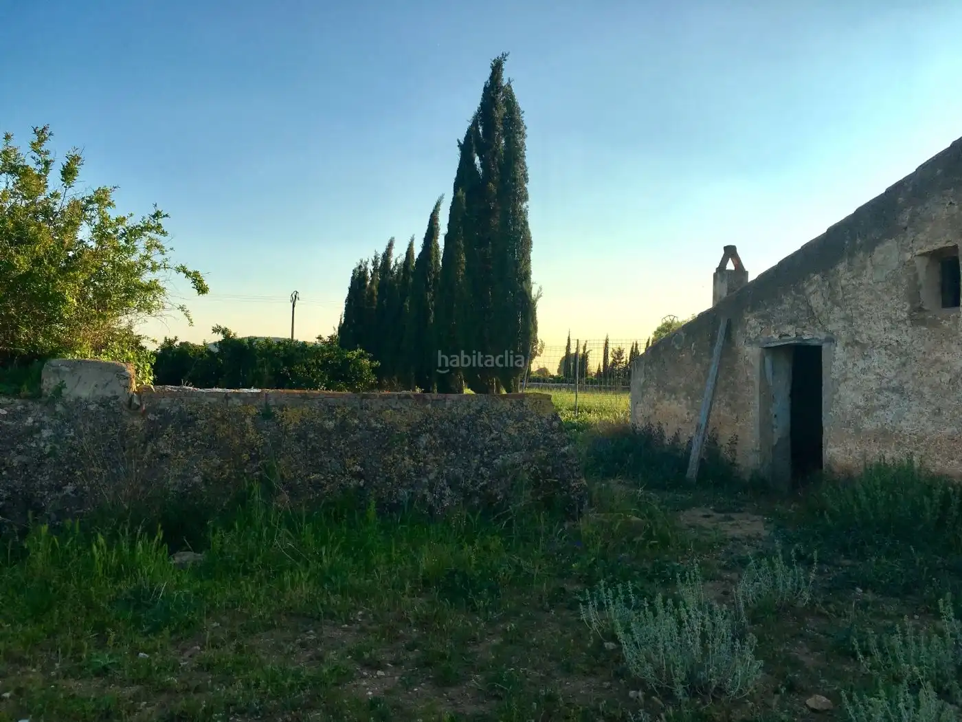 Rural land for sale in Vial Camino 3, imagen 28