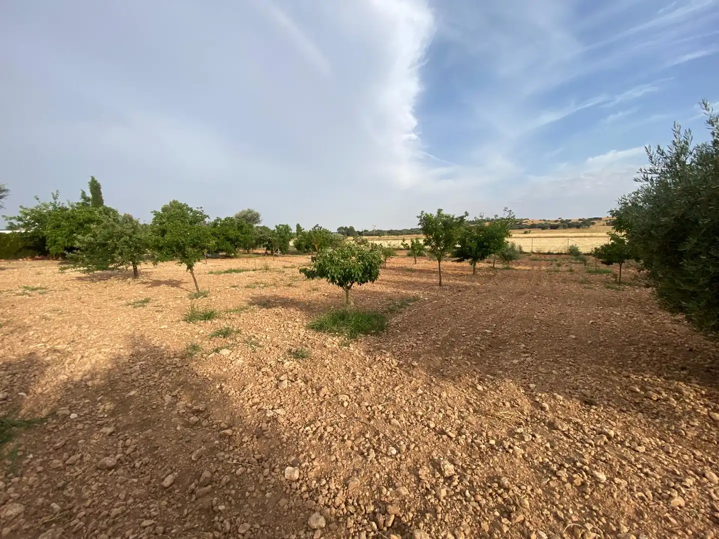 Casa o chalet en venta en Ciudad Real con Aire acondicionado, Calefacción y Jardín privado