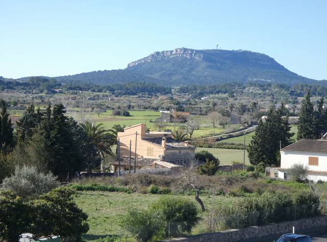 Local comercial en Venta en Montuïri