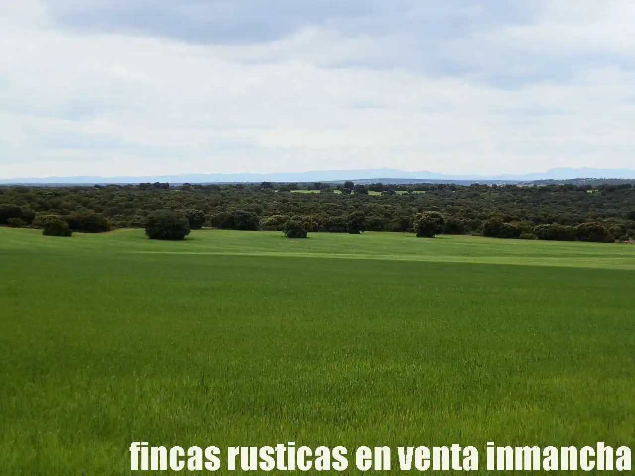 Terreno rustico in vendita a Ruidera, imagen 12