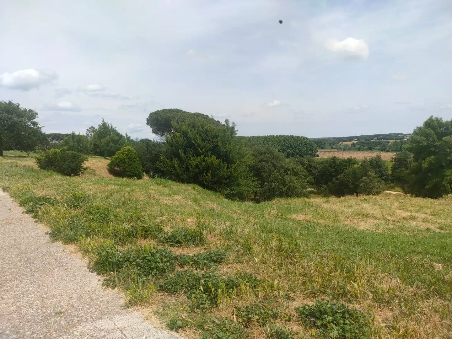 Residential land for sale in Avinguda Barceloneta, imagen 10