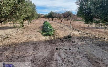 Residential for sale in Cieza