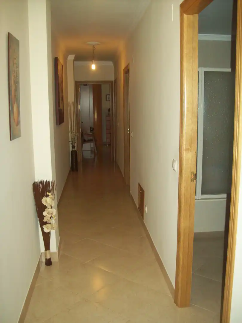 Appartamento con terrazza in vendita a La Carlota, imagen 5