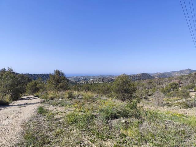 Terreno en Venta en Robelles en El Secanet - Hacienda del Sol