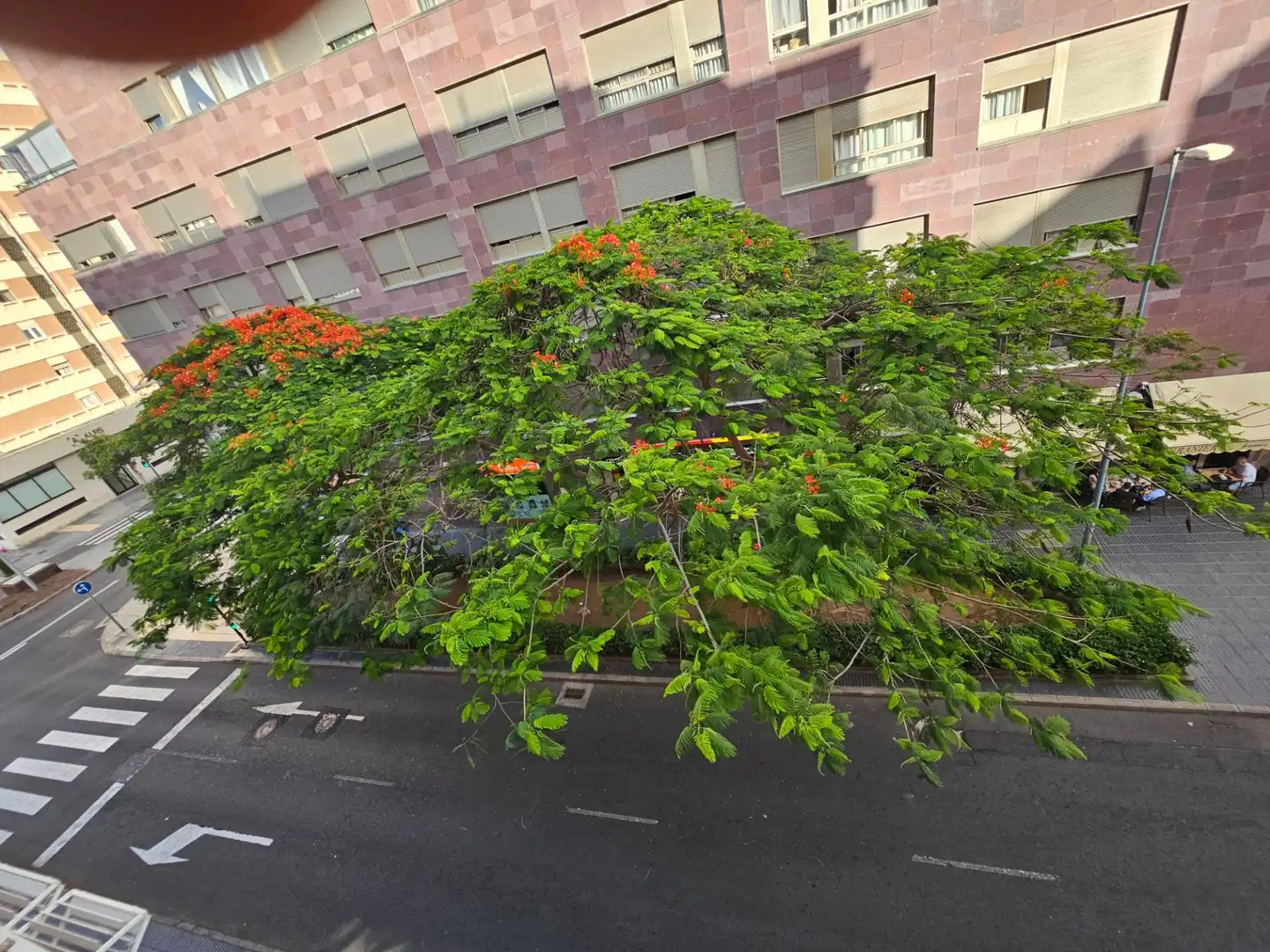 Vista exterior de Pis de lloguer en Las Palmas de Gran Canaria