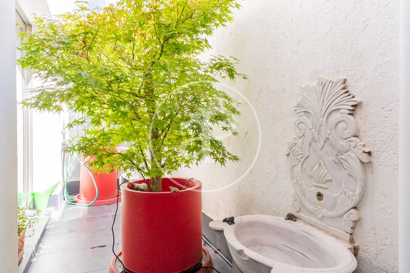Garden of Houses for rent in Madrid  with Air Conditioner, Heating and Private garden