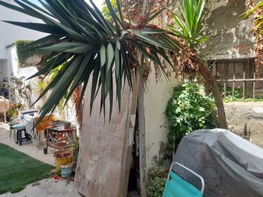 Terreno rustico in vendita a Centro
