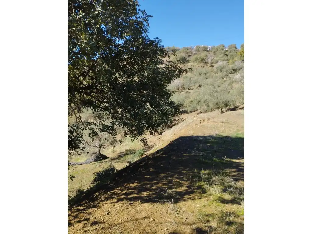 Casa o chalet en venta en Riogordo