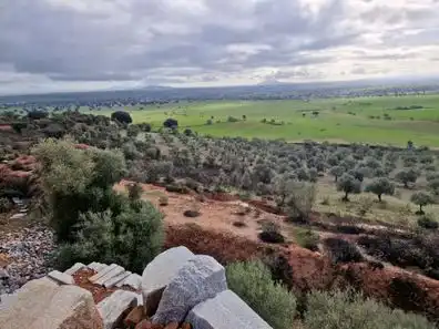 Lands and plots for sale in Castuera, imagen 3