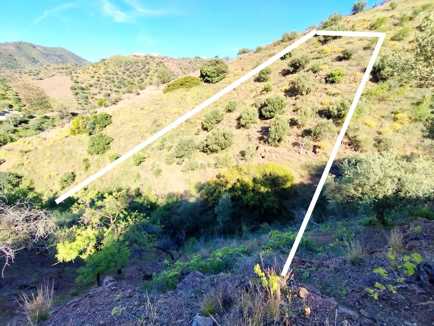 Lands and plots for sale in Arenas