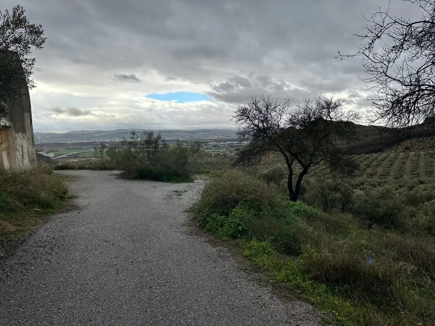 Terreni e lotti in vendita a Atarfe, imagen 25