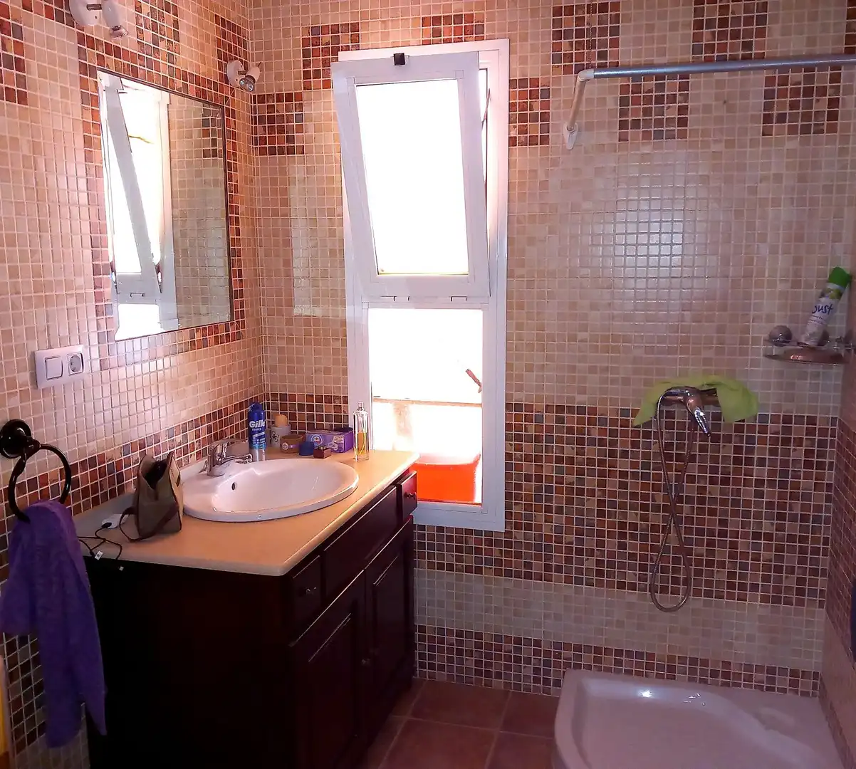 Bany de Casa o xalet en venda en Talavera la Real amb Aire condicionat i Moblat