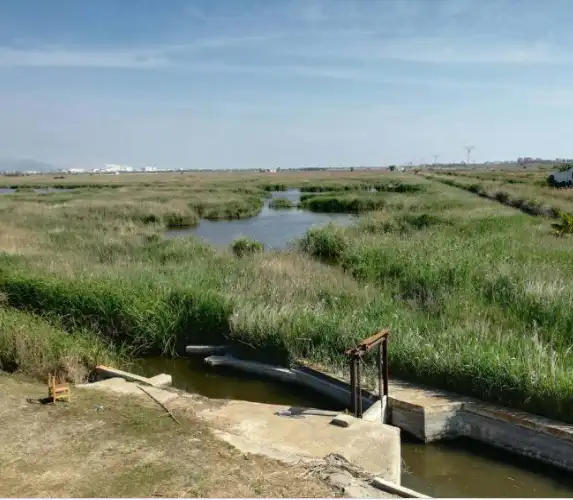 Finca rústica en venda en La Llosa