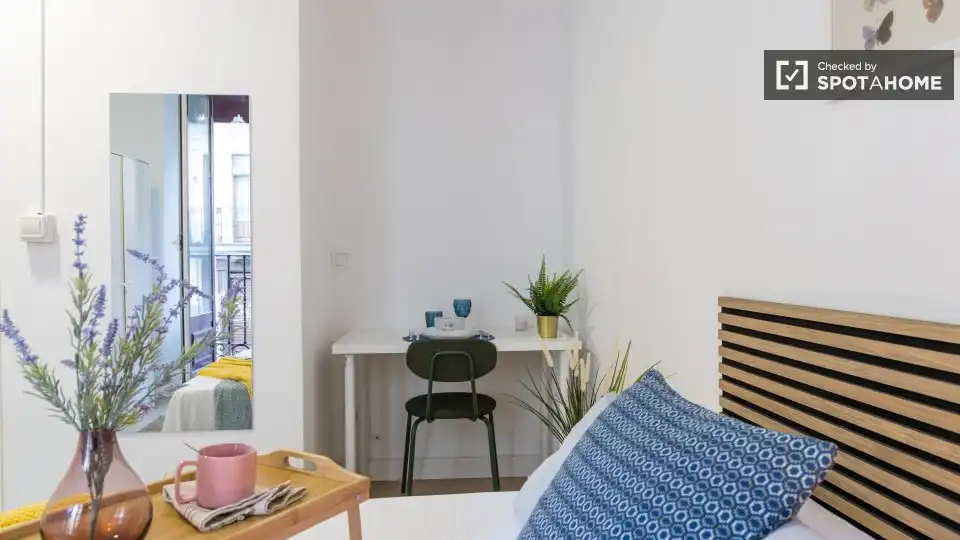 Room in Embajadores - Lavapiés