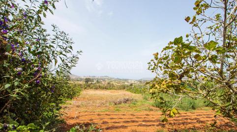 Foto 5 de Terreno en venta en Campo de Golf - Agua García - Juan Fernández, Tacoronte