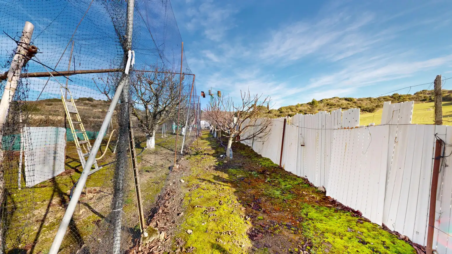 Rural land for sale in Tafalla - TERMINO JUNCAL, imagen 44
