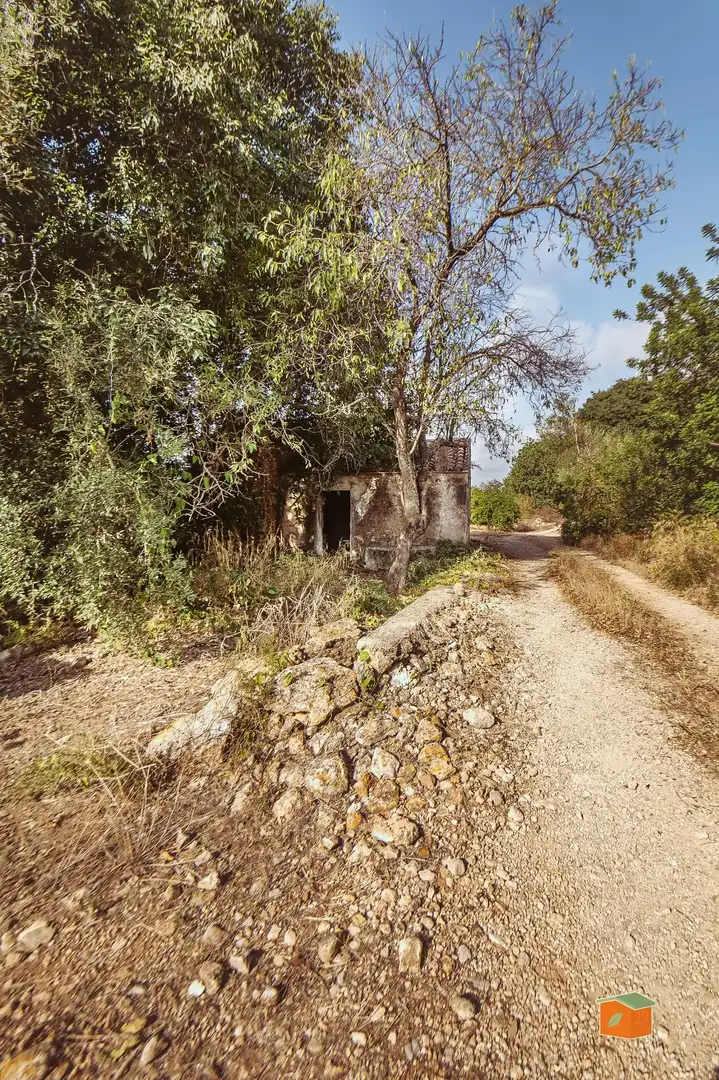 Rustikales Grundstück zum Verkauf in Santa Bàrbara, imagen 13
