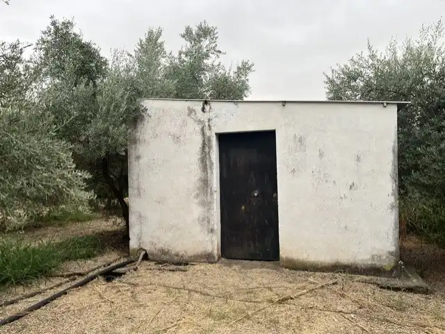 Terreno rústico en venta en Villafranca de Córdoba, imagen 6