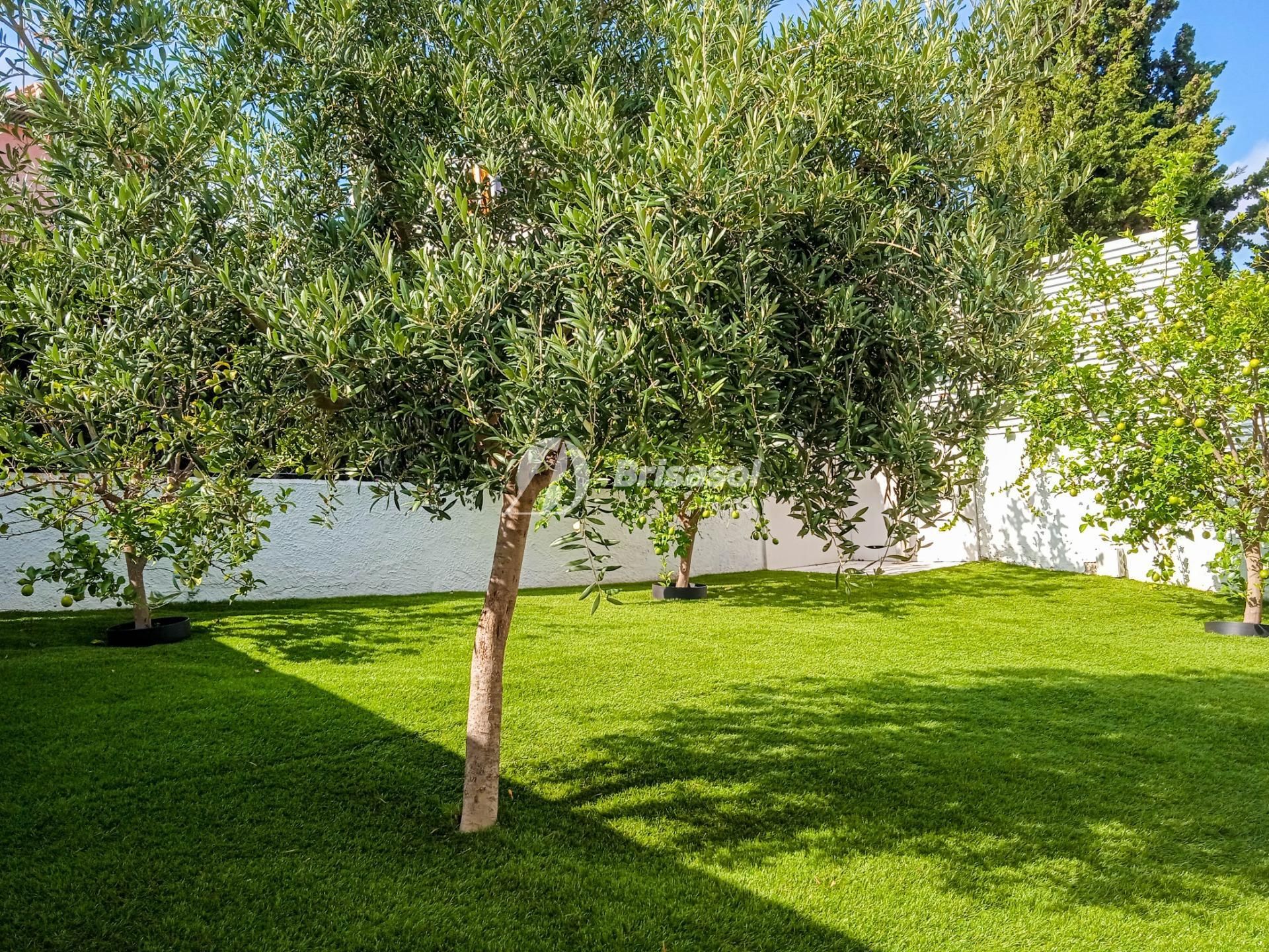 Jardí de Casa o xalet en venda en Mont-roig del Camp amb Aire condicionat, Calefacció i Jardí privat