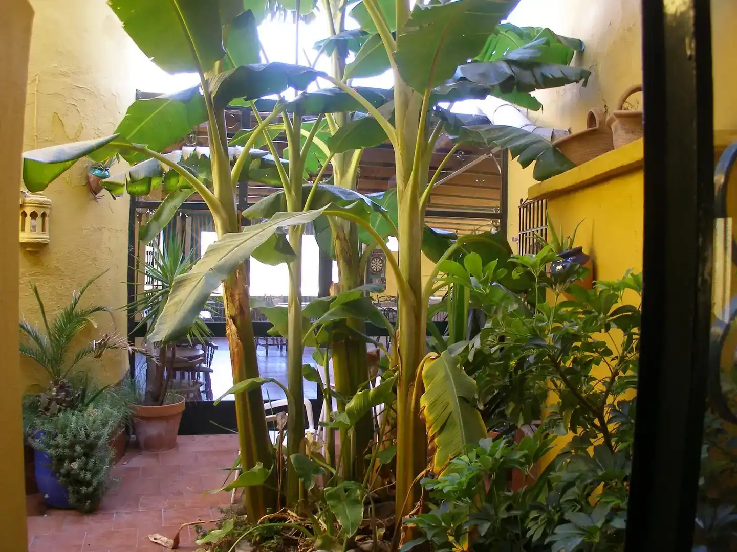 Local en venda en Benaoján