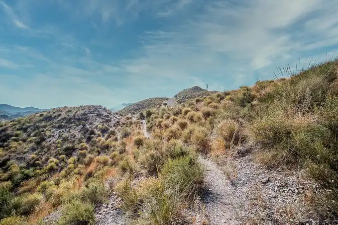 Terreno rustico in vendita a Paraje Collados de las Hormigas, Cumbre de los Collados, Sector 1, imagen 17