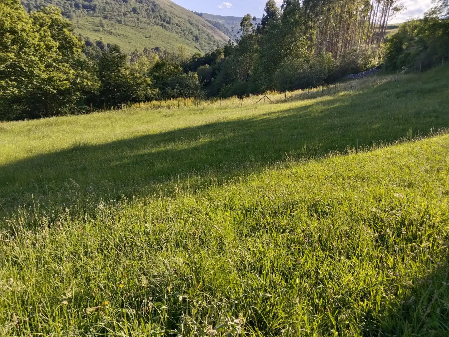 Residencial en venda en Rionansa