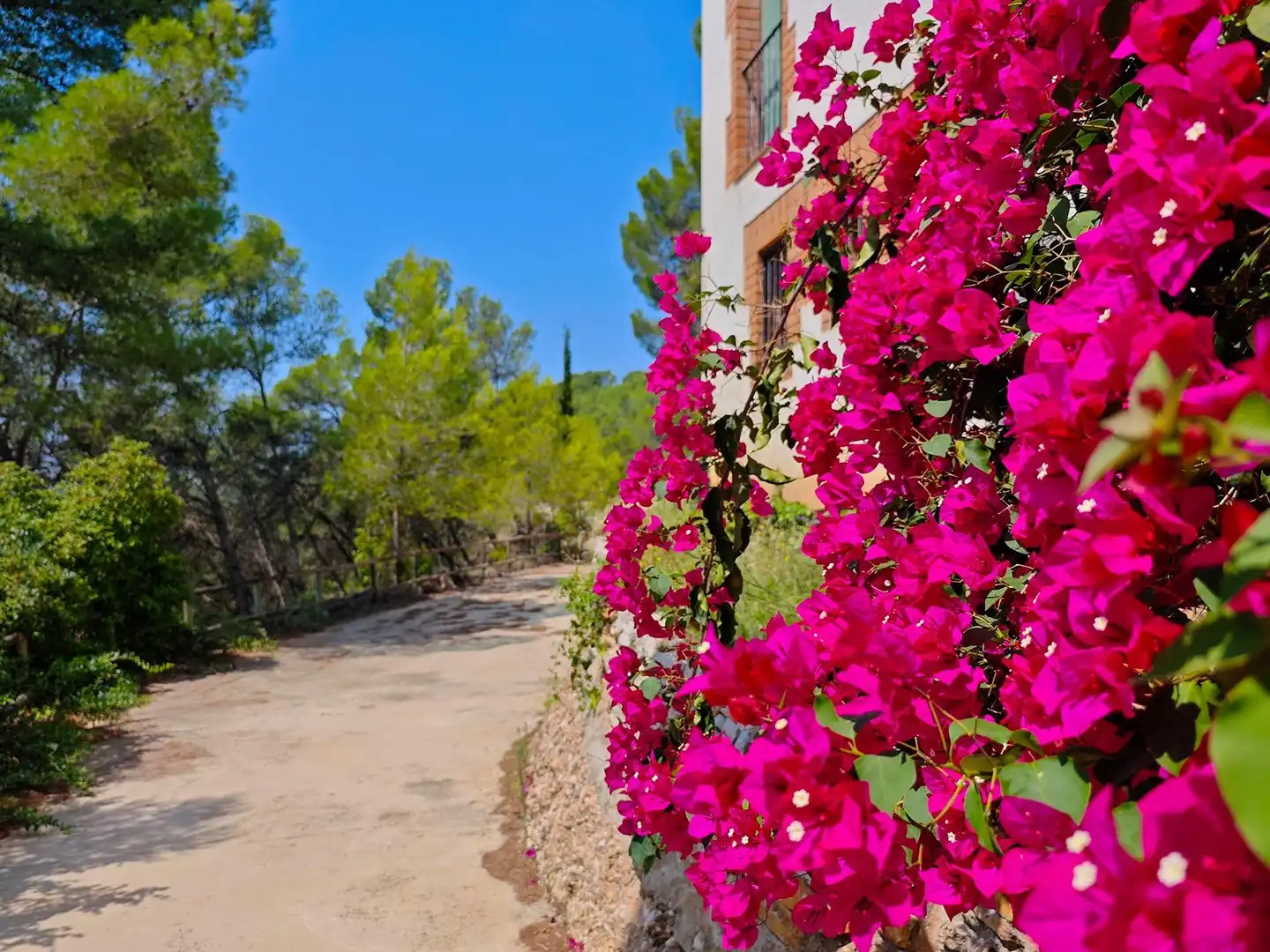 Garden of Houses for sale in Cabrera d'Anoia  with Heating, Private garden and Terrace