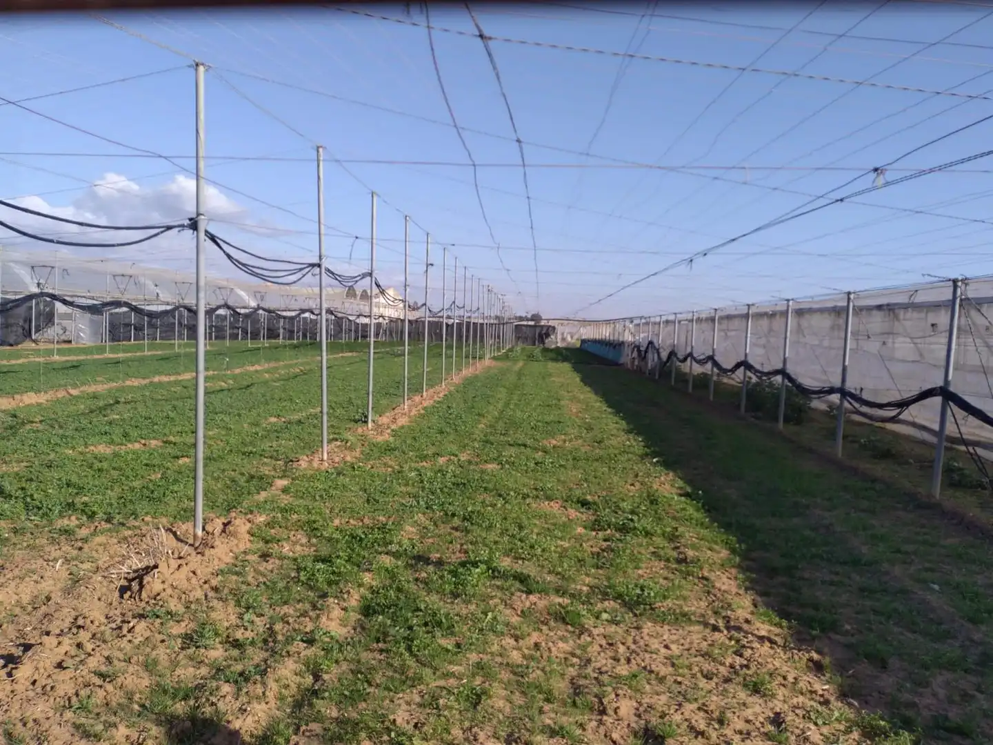 Lands and plots for sale in La Jara