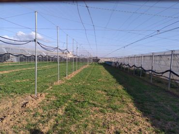 Terrenos y solares en venta en La Jara