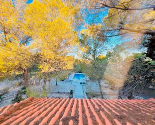 Jardí de Finca rústica en venda en Orihuela amb Terrassa i Balcó